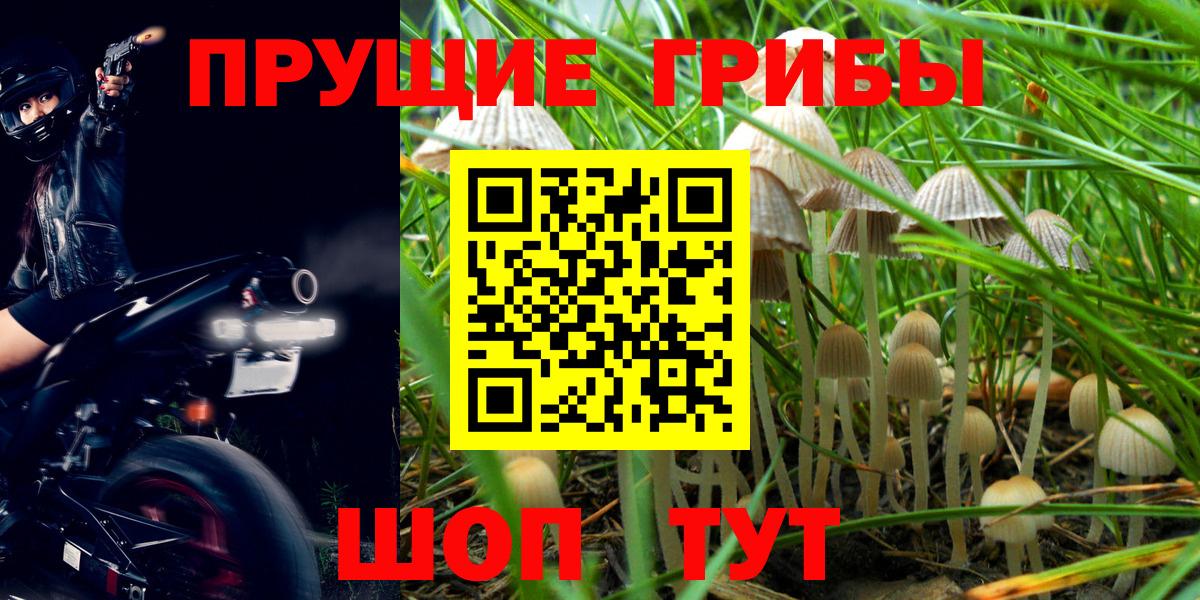 Псилоцибиновые грибы Psilocybine cubensis  Вход с VPN  Партизанск 